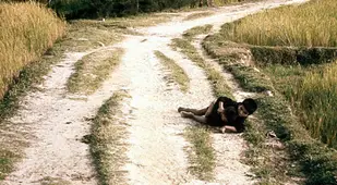 My Lai Photos Dying Boy