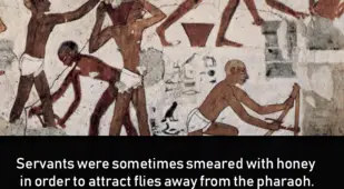 Ancient Egypt Facts