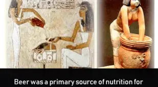 Drinking Beer Ancient Egypt Facts