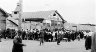 Great Famine Line Up