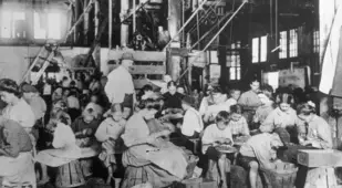 String Beans Being Processed By Hand