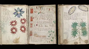 Archaeological discoveries Voynich Manuscript pages