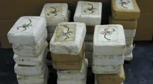 Cocaine Bricks
