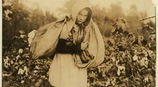 Cotton Picker Oklahoma