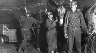 Mule Drivers