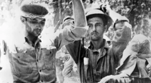 Japanese Soldier Searching US POWs