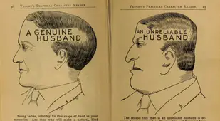 Genuine Husband Phrenology Chart