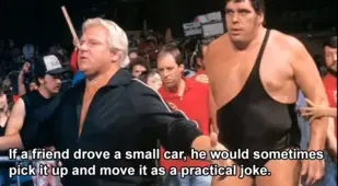 Andre With Entourage