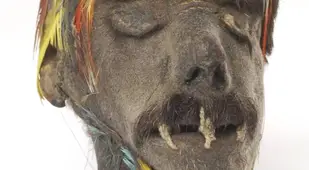 Colorful Shrunken Head