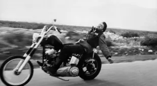 Hells Angels Risky Rider