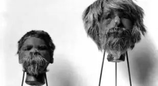 Shrunken Heads On Stands