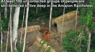 Interesting Facts About Brazil Tribe