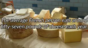 Blocks Of Cheese