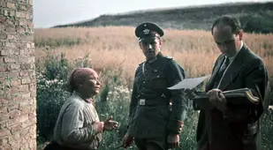 Robert Ritter Inspecting Papers