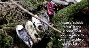 Shoes In Suicide Forest