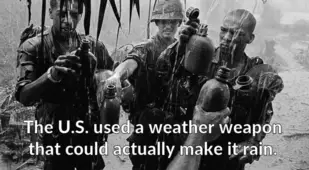 Vietnam War Facts