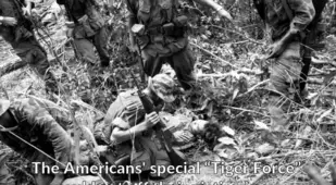 Vietnam War Facts