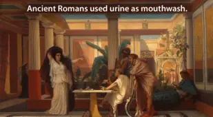 Ancient History Roman Mouthwash