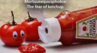 Weird Phobias Ketchup