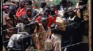Rwandan Genocide Refugees