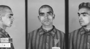 Vinzent Daniel Auschwitz