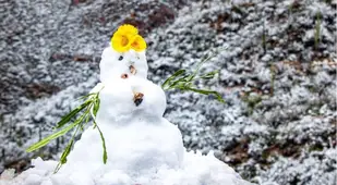 Desert Snowman
