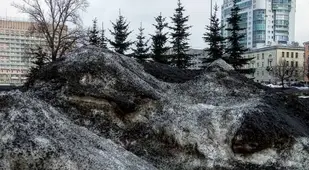 Black Siberia Snow