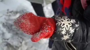 Coal Dust Black Snow Mitten