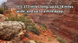 Grand Canyon Facts