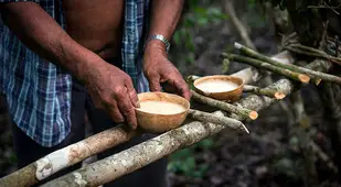 Preparing Offering