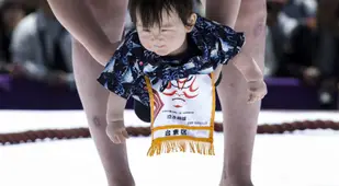 Baby Sumo