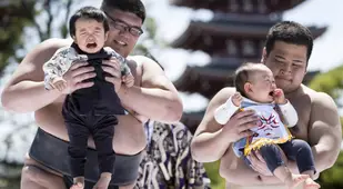 Crying Naki Sumo Babies