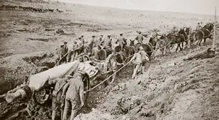 Horses Carrying Supplies