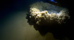 Sand Billowing Up