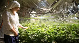Nun Tends To Weed Plants