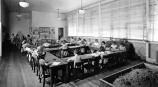Oak Ridge Elemntary School