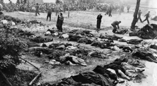 Dead Bodies Litter Ground In Ukraine