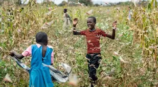 Children Run Among Locusts