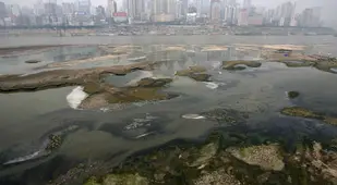 Chongqing Municipality Yangtze Pollution