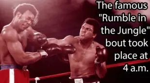 George Foreman Getting Hit By Ali