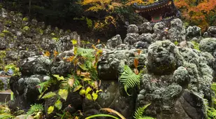 Autumn Buddhist Temple