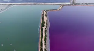 Blue And Purple Water