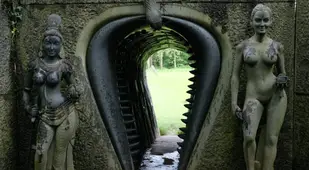 Vagina Dentata Entrance