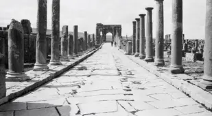 Path Of Pillars