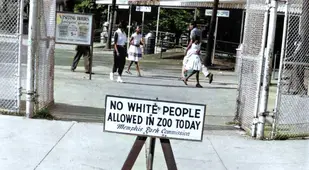 Jim Crow Images