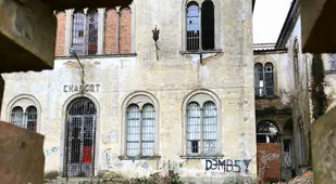 Broken Asylum Windows