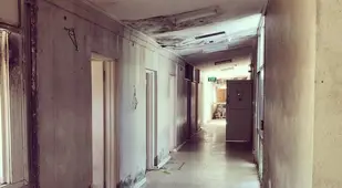 Empty Asylum