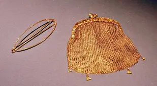 Ladys Purse