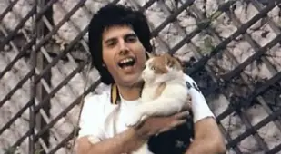 Freddie Mercury And Delilah