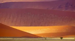 Namib Naukluft Sand Dunes